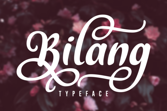 Bilang Font: A Bold Script Typeface for Digital Designers