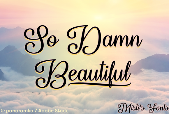 So Damn Beautiful Typeface for Polished Branding