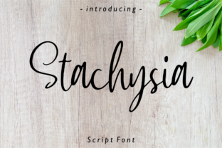 Stachysia: A Handwritten Font That Brings Your Creations to Life