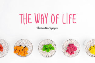 The Way of Life Font for Modern Branding