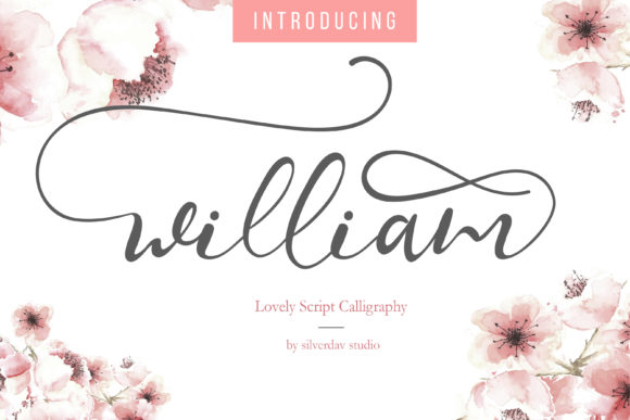 William Font Review: A Modern Script for Creative Branding